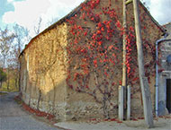 Exkursion I